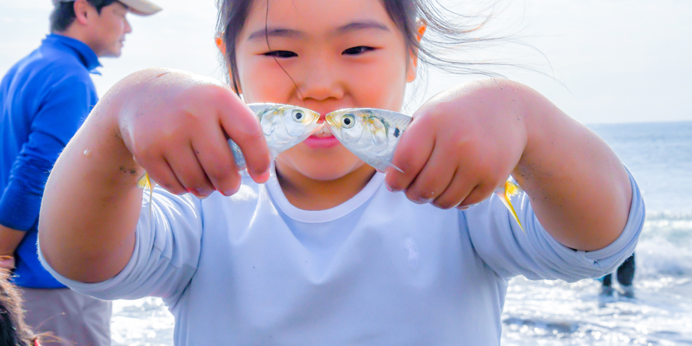 瀬戸内海の離島、小豆島の美味しそうな魚。