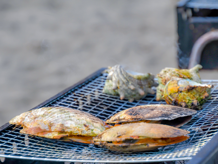 瀬戸内海の離島・小豆島で漁業体験後は、獲った魚を食べることができます