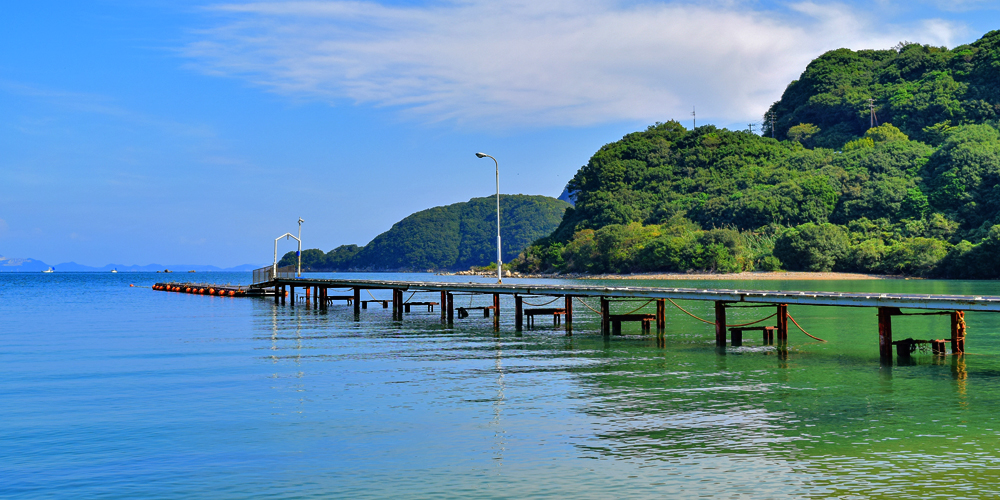 プライベートビーチに広がる緑と海の絶景