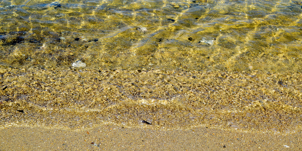 透明度の高いプライベートビーチの海は魚が見えます