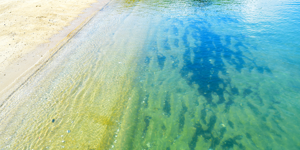 プライベートビーチで１日海を堪能できる砂浜